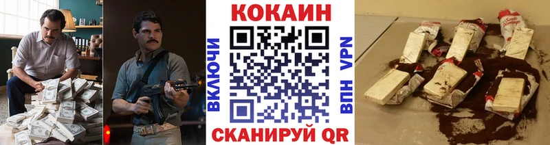 Купить закладки  Ноябрьск  COCAIN Fish Scale 