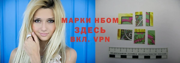 прущие грибы Наволоки