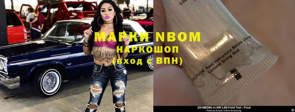 прущие грибы Наволоки