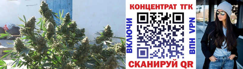 Купить закладки  Ноябрьск  ТГК Wax 